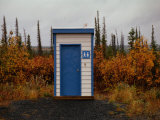 Outhouse in the Bush