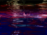 A Swimming Duck Breaks up the Colorful Reflections of the Riverwalk
