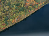 An Aerial View of a Forest in Autumn Colors Near a Body of Water