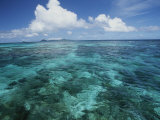 Shallow Blue Water Stretches to the Horizon