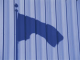 Waving Shadow of the American Flag on a Corrugated Storage Building