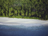An Aerial View of the Shoreline on One of the Seychelles Islands