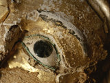 Close View of the Eye of a Gilded Mummy