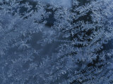 A Close View of Autumn Frost on a Car Window
