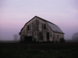 Pink Dawn Mist Around a Weather-Beaten Barn