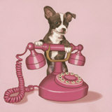 Ring Bell