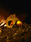 Close View of the Skull of a Neandertal Woman