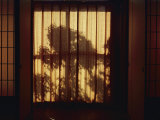 View Looking Through a Screen in a Japanese Inn