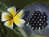 Black Pearls and Hibiscus Flower