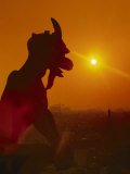 Gargoyle and Sunset from Notre Dame