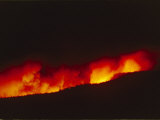 Flames from a Forest Fire Lick the Skyline