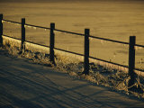 A Fence Covered in Ice