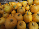 A Pile of Pumpkins