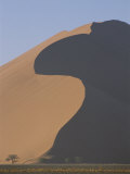 Giant Sand Dune Dwarfs the Desert Landscape