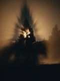 The Moon and a Tree Reflected in Water