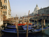 Gondolas Line a Canal in Venice