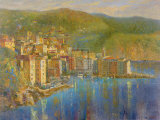 Coastal View