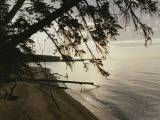 A View of the Shoreline in the Apostle Islands