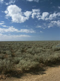 View of the Outback