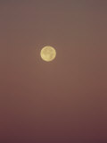 The Full Moon Sets in the Early Morning Red Sky