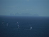 Sailboats Race Through Blue Water Past an Island in the Distance