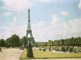 View of the Eiffel Tower from a Park