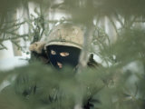 A Soldier in Full Camouflage