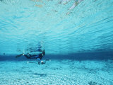 A Diver Swims Through Clear Blue Water