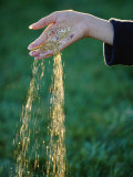 Small Glass Beads Fall Like Rain from a Womans Hand