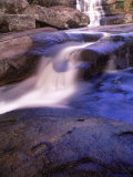Serra Do Frade Rain Forest  Atlantic Wood  Brazil