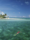 A Lone Snorkeler Floats in Waters off a Palm Tree-Dotted Island