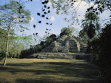 A Mayan Temple Ruin in Belize