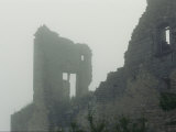 Castle Ruin in the Mist