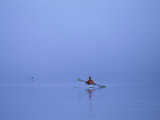 Kayakers Enjoy a Misty Morning in Walker Cove