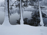 Winter in the Countryside