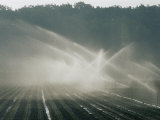 Field Irrigation  Provence Region  France