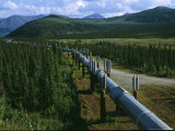The Trans-Alaska Pipeline Runs Through the Alaskan Wilderness