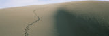 Footprints in the Sand