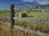 Rolls of Hay Fill a Farmers Field