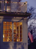 A View of a Christmas Tree Through a Window