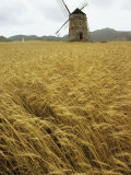 A Windmill Stands in a Field of Grain