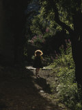 A Child Plays in a Garden in Provence