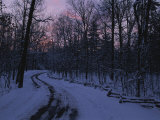 Dawn View of a Snow-Covered Road