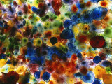 A Colorful Piece of Artwork