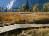 A Boardwalk Crosses a Dry Meadow in Yosemite Valley