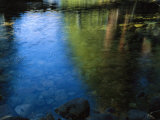 Beautiful Colors are Reflected in the Merced River