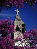 St Anthony Church  Brazil