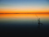 Still Waters of Lake at Twilight  Muritz National Park  Germany