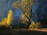The Evening Sun Shines on Leidig Meadow
