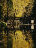Trees and a Footbridge are Reflected in the Merced River